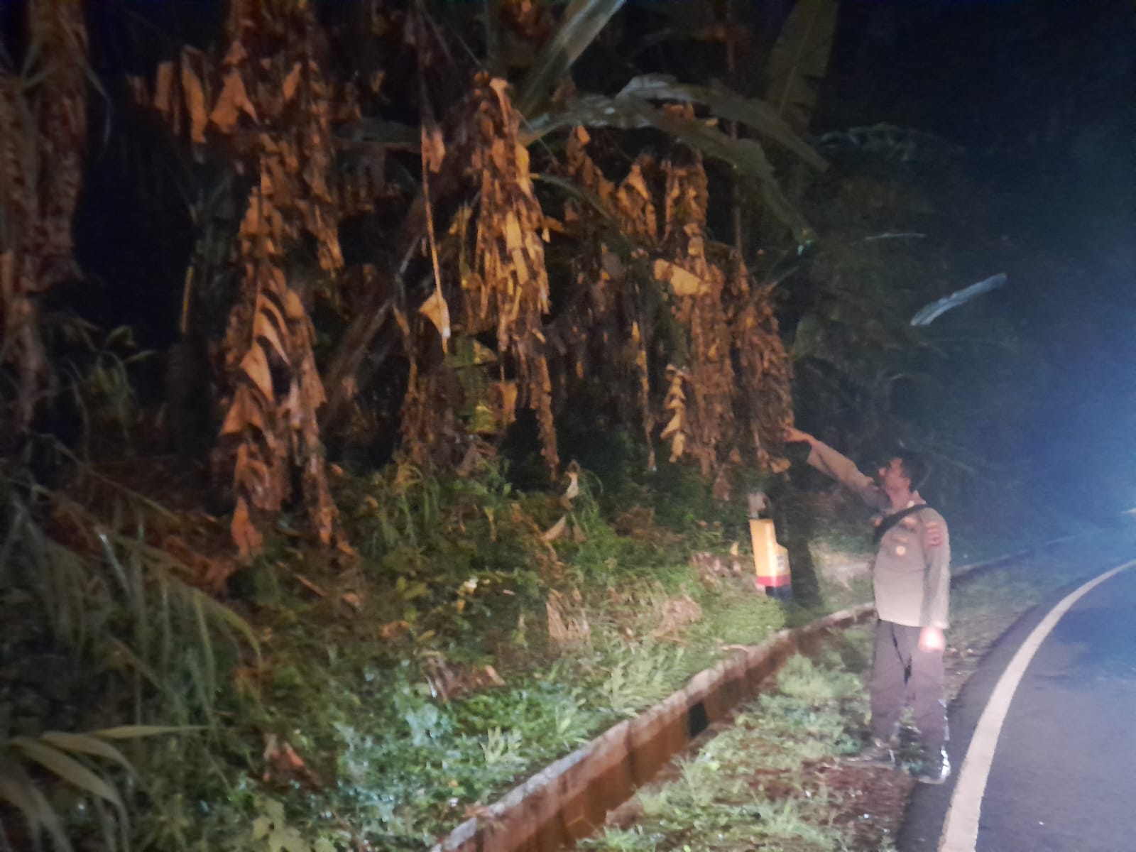 Kebakaran Lahan Gunung Mas, PTPN VIII Belum Terima Laporan Resmi