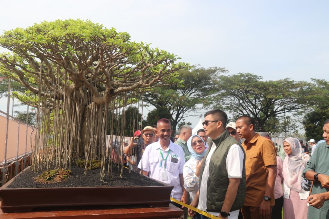 Kompetisi Bonsai Nasional 2025