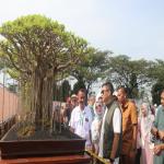 Kompetisi Bonsai Nasional 2025