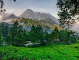 Wisata Puncak Bogor