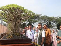 Kompetisi Bonsai Nasional 2025